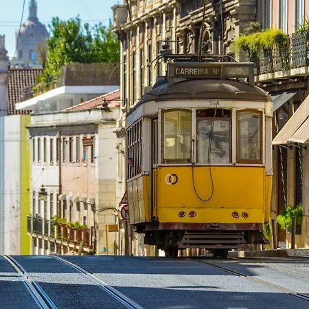 Lejlighed Rustic Charm In Principe Real Lisboa